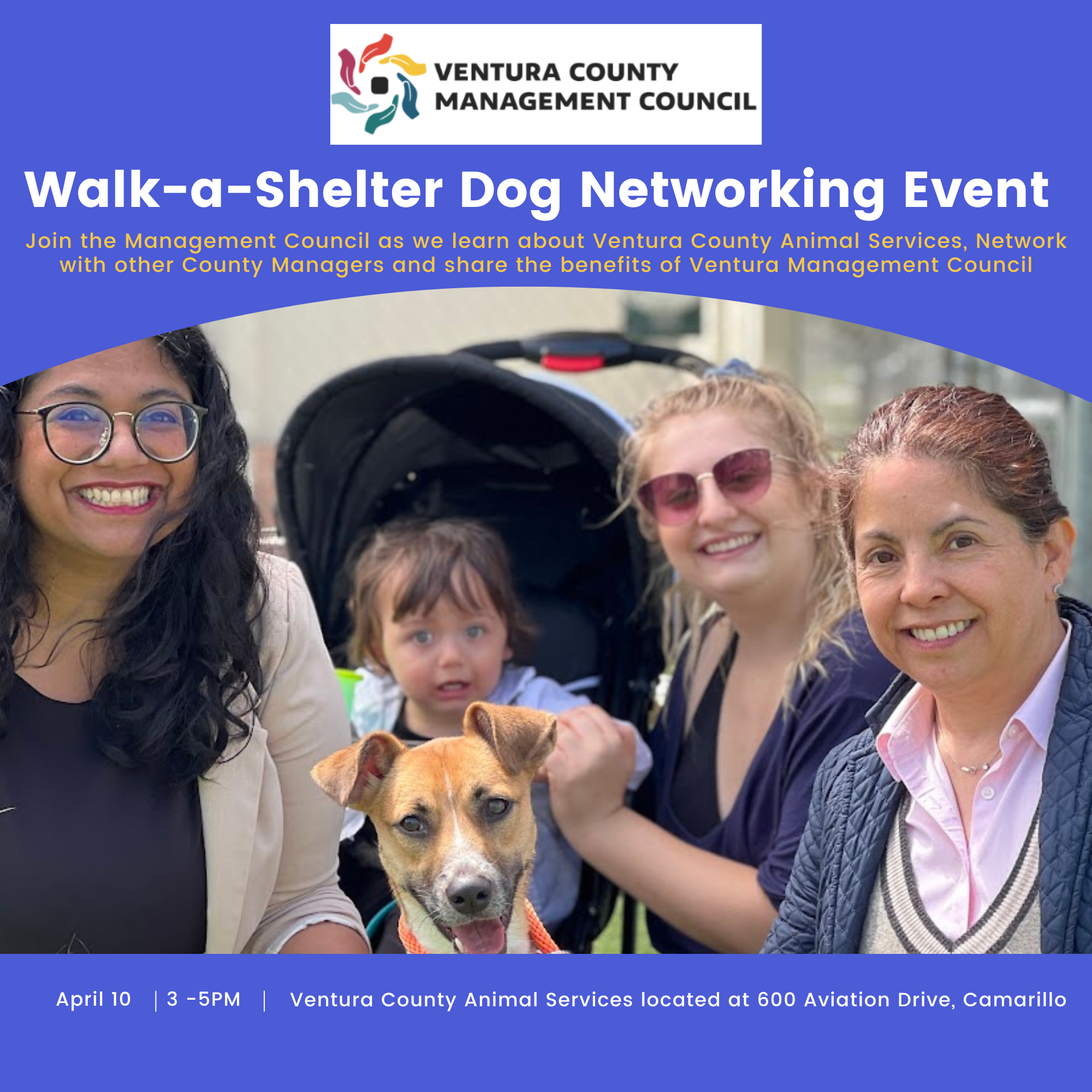 Walk-a-Shelter Dog Event Flyer